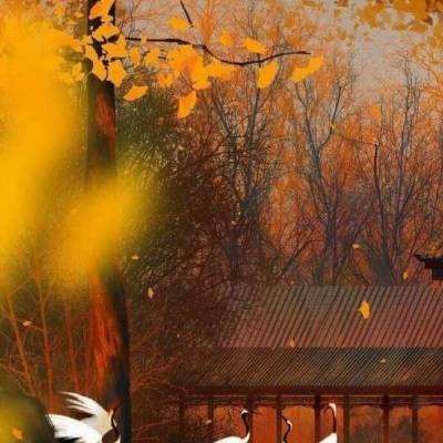 象游游客户端下载