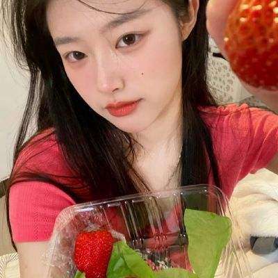 凤武果盘版下载